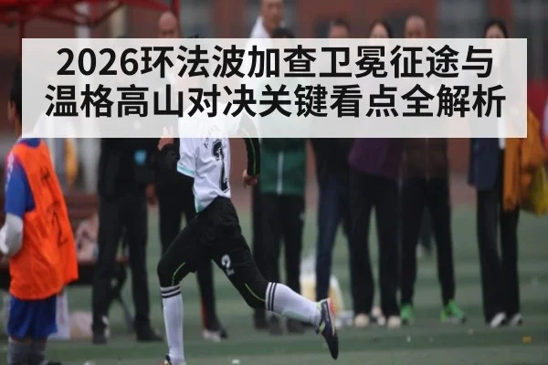 2026环法波加查卫冕征途与温格高山对决关键看点全解析